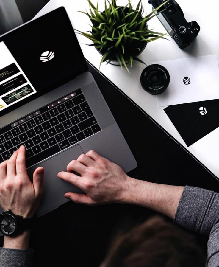 Sansevieria en pots, facile d'entretien